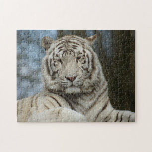 Puzzle blanc de tigre