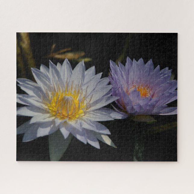 Puzzle blanc violet Nénuphar (Horizontal)