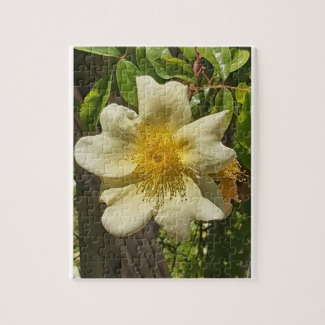 Puzzle Blanca flor  (Vertical)