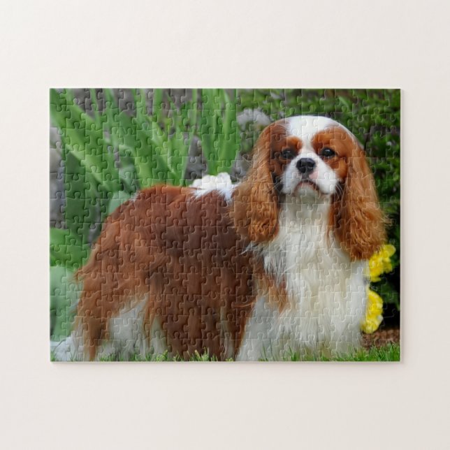Puzzle Blenheim Cavalier King Charles Spaniel Chien (Horizontal)