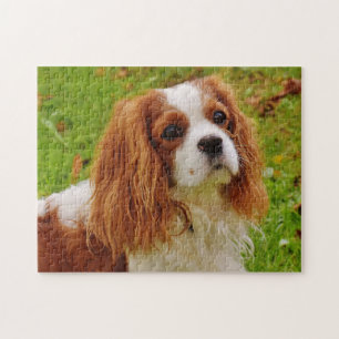 Puzzle Blenheim Cavalier King Charles Spaniel Chien Chien
