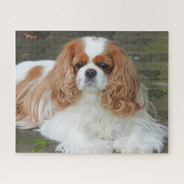 Puzzle Blenheim Cavalier King Charles Spaniel Chien Chien (Horizontal)