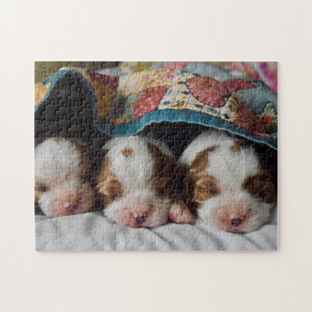 Puzzle Blenheim Cavalier King Charles Spaniel Puppies (Horizontal)