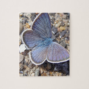 Puzzle bleu clair papillon