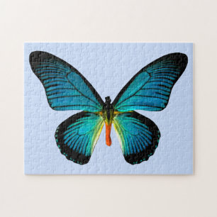 Puzzle bleu de papillon