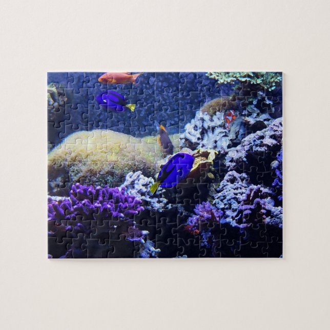 Puzzle bleu de peinture de poissons de Tang (Horizontal)