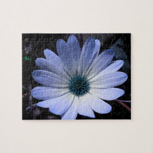 Puzzle bleu marguerite