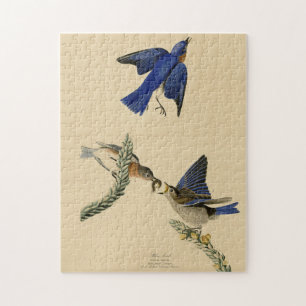 Puzzle Bleu rouge de l'est des oiseaux d'Amérique d'Audub