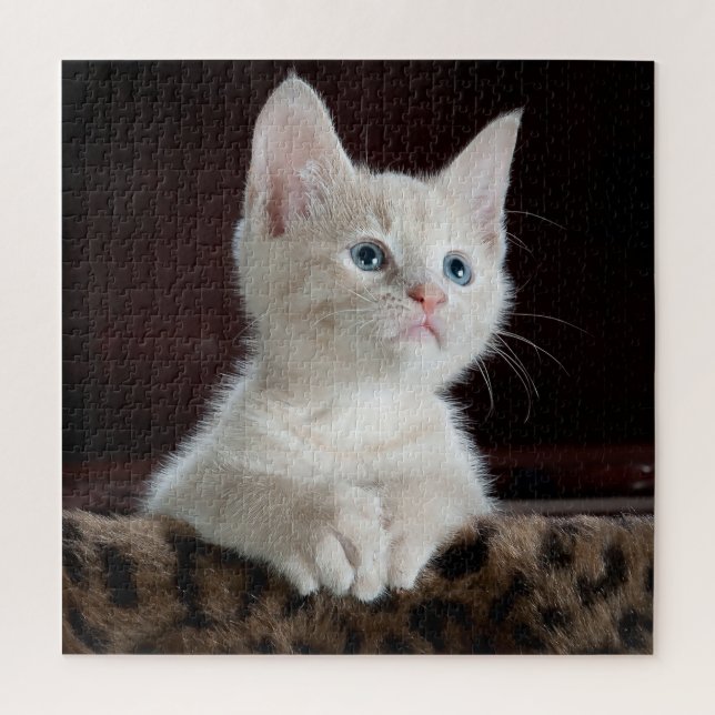 Puzzle Bleu teint blanc Kitten (Vertical)