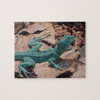Puzzle bleu vert Lizard