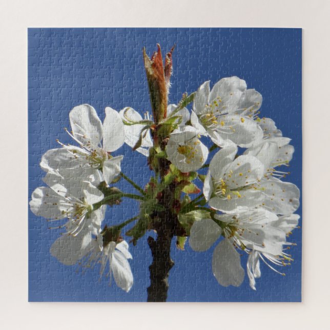 Puzzle Bloom du printemps blanc (Vertical)