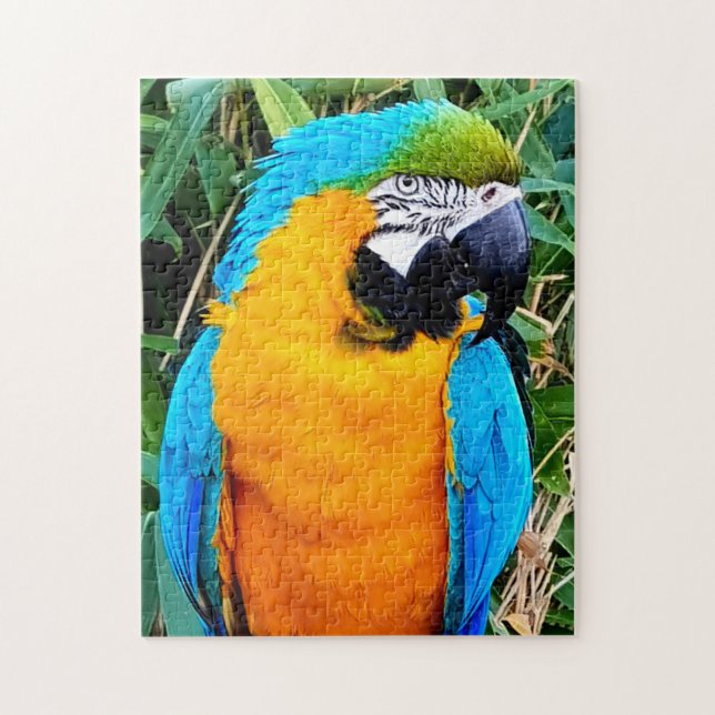 Puzzle Blue and Yellow Macaw Parrot (Vertical)