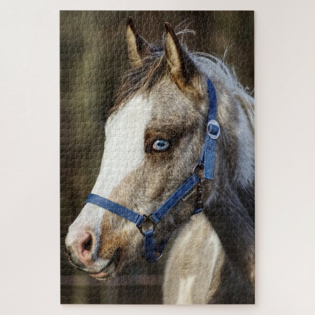 Puzzle Blue Eyed Fol (Vertical)