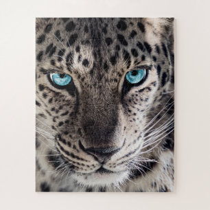 Puzzle Blue Eyed Leopard