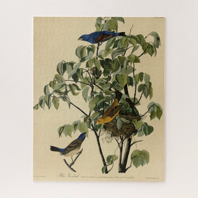 Puzzle Blue Grosbeak de Audubon's Birds of America (Vertical)