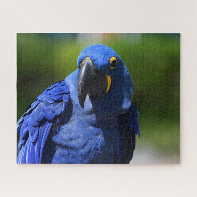 Puzzle Blue Hyacinth Macaw (Horizontal)