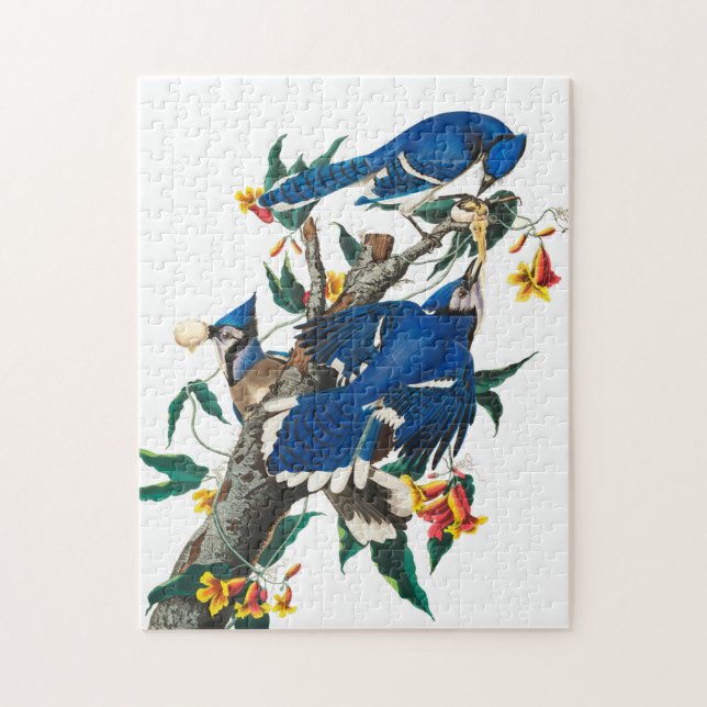 Puzzle Blue Jay par John James Audubon (Vertical)