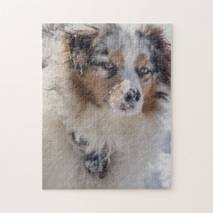 Puzzle Blue Merle Australian Shepherd
