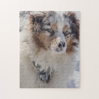 Puzzle Blue Merle Australian Shepherd