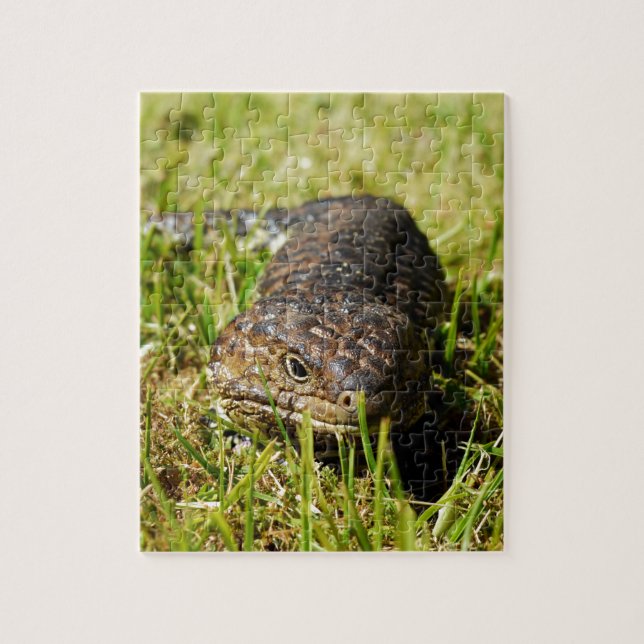 Puzzle Blue Tongue Lizard Creeping (Vertical)