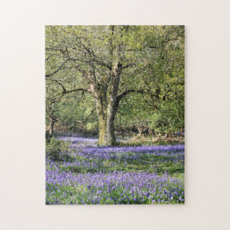 Puzzle Bluebell