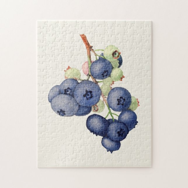 Puzzle Blueberries (Vaccinium Corymbosum) Fruit Painting (Vertical)