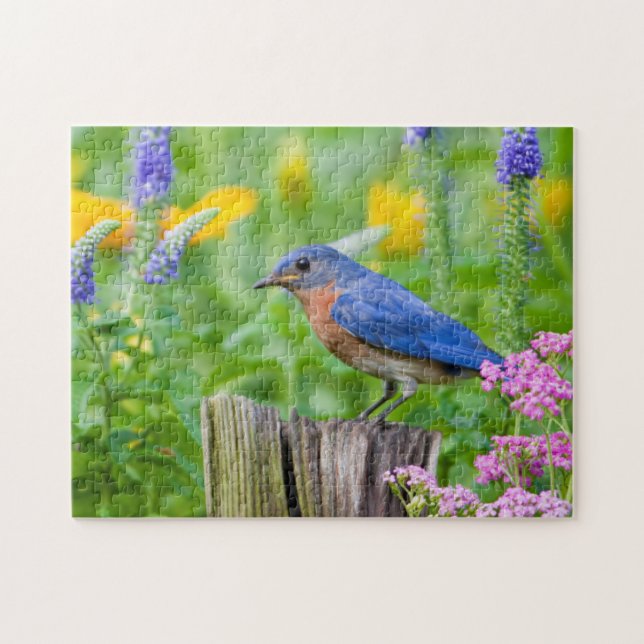 Puzzle Bluebird peins on fence post in flower garden (Horizontal)