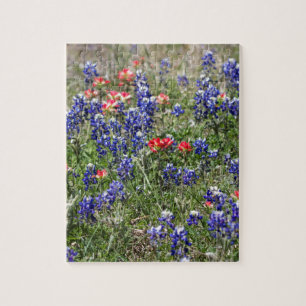 Puzzle Bluebonnets de Texas et fleurs sauvages de pinceau