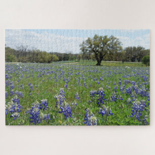 Puzzle Bluebonnets du Texas