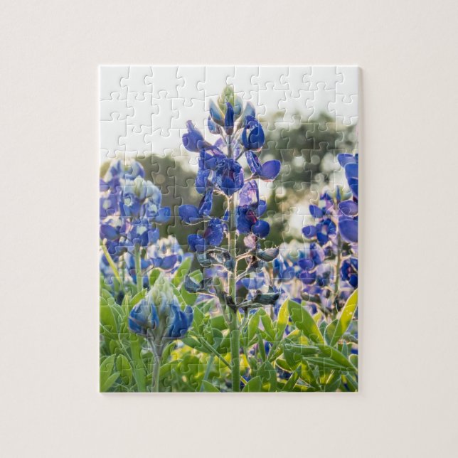 Puzzle Bluebonnets Fleurs Bleues Texas Texan Floral (Vertical)