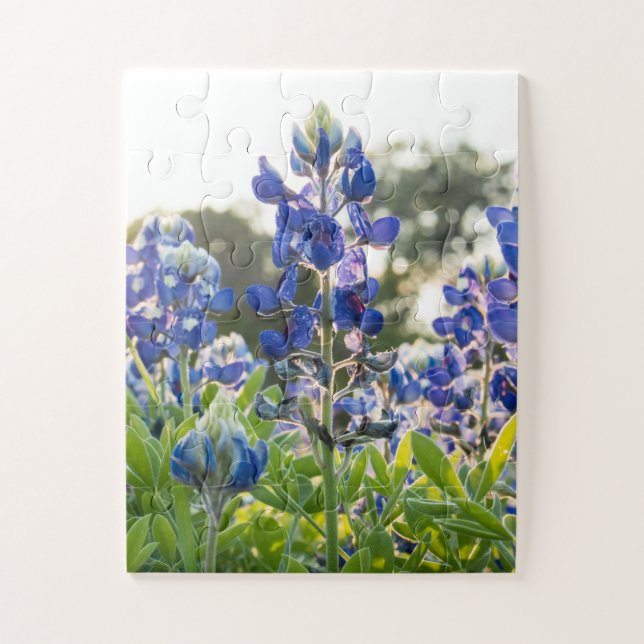 Puzzle Bluebonnets Fleurs Bleues Texas Texan Floral (Vertical)