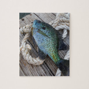 Puzzle bluegill on dock