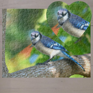 Puzzle Bluejay perché dans l'arbre Nature photographique