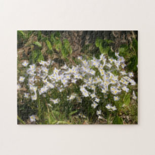 Puzzle Bluets Tiny Blue Flowers peinture à l'huile photo