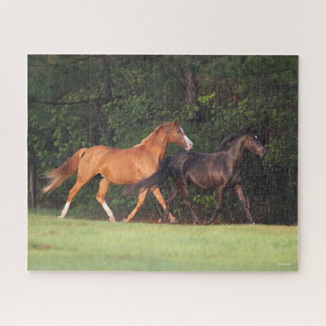 Puzzle Bob Langrish | Allemand Riding Pony Et Oldenburg (Horizontal)
