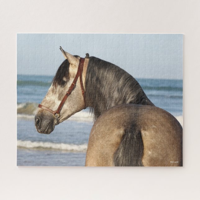 Puzzle Bob Langrish | Andalucian Stallion Headshot Sea (Horizontal)