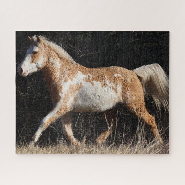 Puzzle Bob Langrish Bashkir Curly Horse Stallion Marcher (Horizontal)
