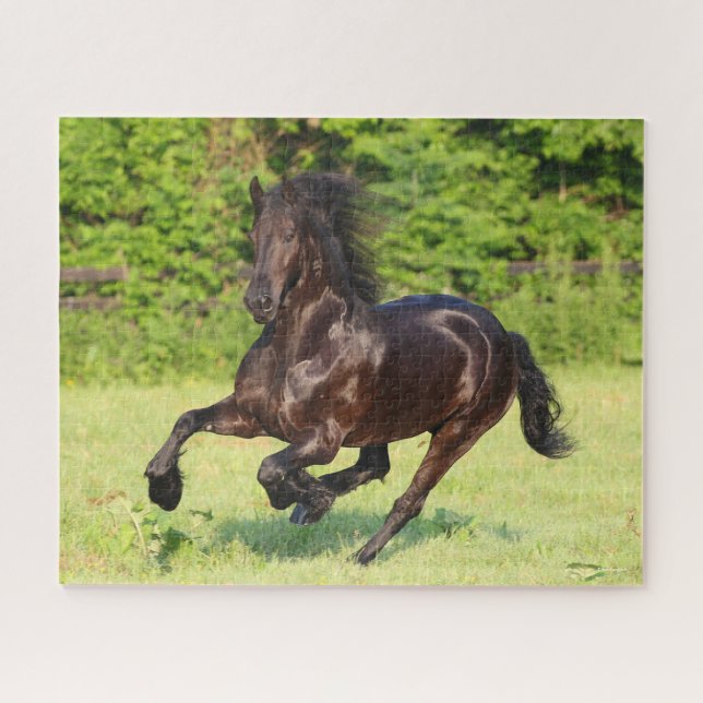 Puzzle Bob Langrish | Black Friesian Running (Horizontal)