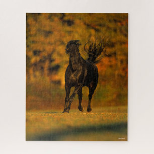 Puzzle Bob Langrish   Black Friesian Running En Automne