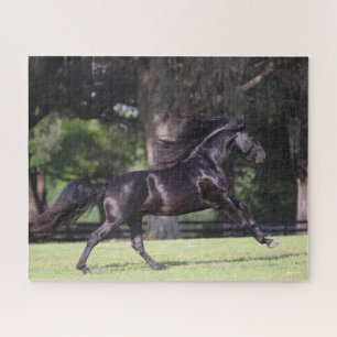 Puzzle Bob Langrish Black Lusitano Running