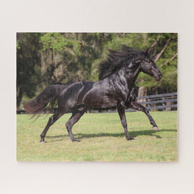 Puzzle Bob Langrish | Black Lusitano Running (Horizontal)