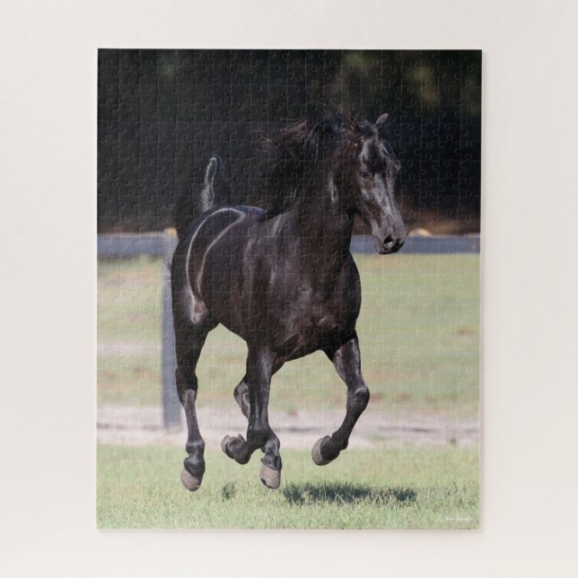 Puzzle Bob Langrish | Black Tennessee Walker Running (Vertical)