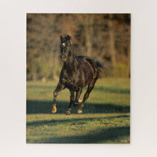 Puzzle Bob Langrish   Black Thoroughbred Running