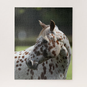 Puzzle Bob Langrish   Capture d'écran Appaloosa Standing