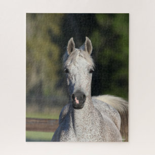 Puzzle Bob Langrish   Capture d'écran arabe gris