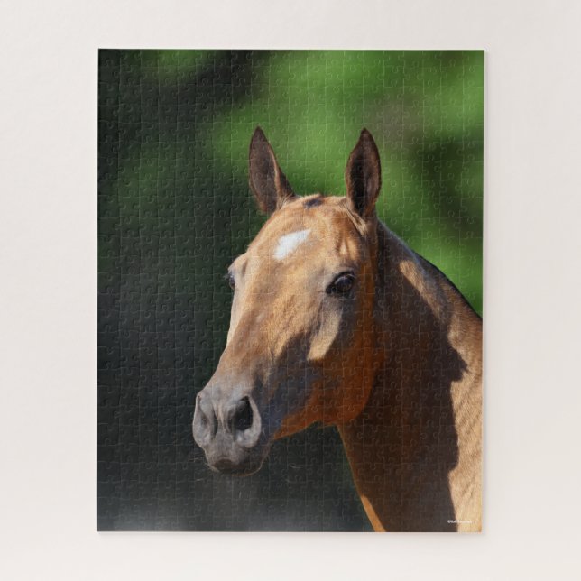 Puzzle Bob Langrish | Capture d'écran d'Akhal Teke (Vertical)