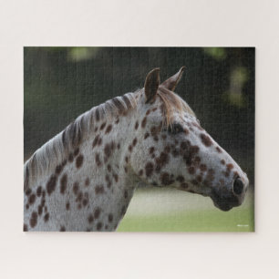 Puzzle Bob Langrish   Capture d'écran de Spotty Appaloos