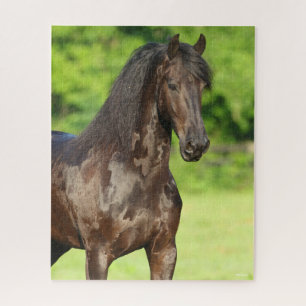 Puzzle Bob Langrish   Capture d'écran du cheval friésie