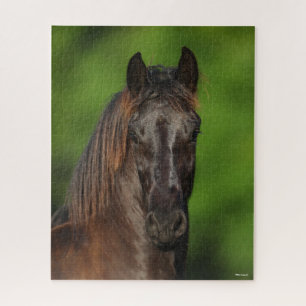 Puzzle Bob Langrish   Capture d'écran du cheval friésie