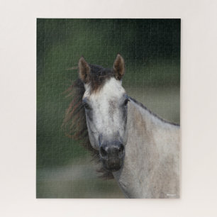 Puzzle Bob Langrish   Capture d'écran d'un cheval gris